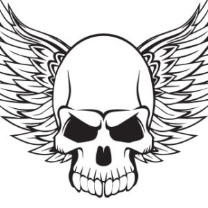 Human Skull with Wings
