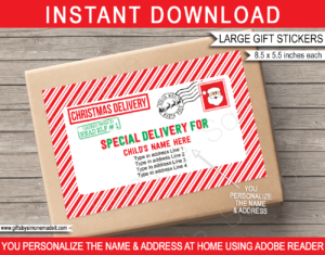 Christmas shipping label, Special overnight delivery for, custom