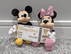 Ticket to Disney World Gift Reveal Idea | Editable & Printable Templates