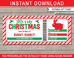 Printable Christmas Bunny Rabbit Gift Certificate Template | Pet Adoption Voucher | Surprise Rabbit | We're Getting a Bunny | Pet Sitting Services | DIY Editable text | INSTANT DOWNLOAD via giftsbysimonemadeit.com